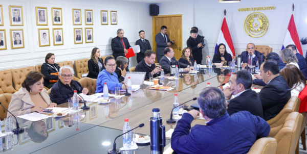 Senado inicia estudio de la reforma del transporte público y acuerda realizar audiencia pública - El Trueno