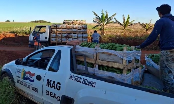Productores de Itakyry se insertan al circuito escolar con frutas y hortalizas del campo - ADN Digital