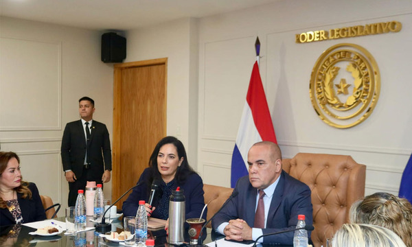 Gobierno invertirá USD 300 millones en 1.000 nuevos buses sin aumentar tarifa - OviedoPress
