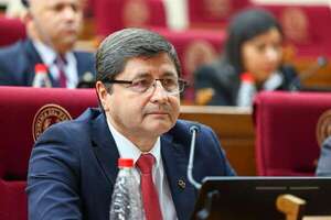El BNF es tembiguái de cobradora del Clan Latorre, dicen senadores - Política - ABC Color