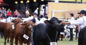 La Nación / Remates de animales en la Expo Paraguay 2025 superaron los G. 27 mil millones