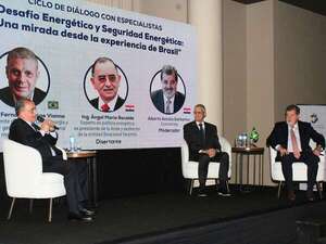 Exdirector brasileño de Itaipú: Para evitar una crisis energética, Paraguay debe diversificar su matriz - Economía - ABC Color