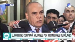 El Gobierno comprará mil buses por 300 millones de dólares