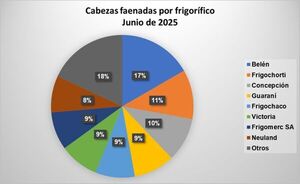 Frigoríficos Belén, Frigochorti y Concepción lideran la faena de ganado