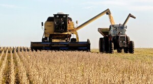 Zafra de soja en el Chaco registró 45.591 hectáreas