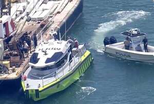 Tragedia en Miami: dos niñas mueren tras choque entre velero y barcaza, una era nieta de Cris Morena - Mundo - ABC Color