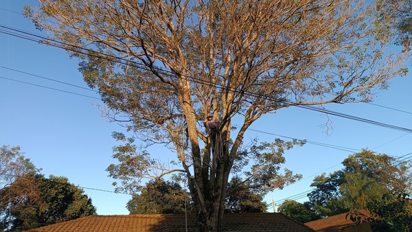 Municipalidad de Capitán Miranda interviene para proteger la Comisaría 11