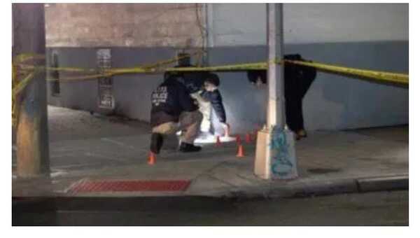 Popular / Saltan detalles sobre tiroteo en New York