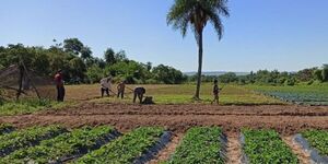 INBIO organiza jornada técnica en Itacurubí del Rosario