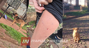 VECINOS DEL B° JARDÍN DE CAMBYRETÁ DENUNCIAN CONSTANTES ATAQUES DE PERROS