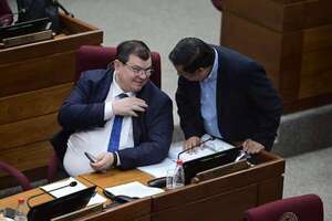 Senado debatirá feriados especiales “pro-Mundial” y transporte escolar - Política - ABC Color
