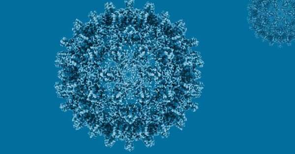 La Nación / Salud confirman 866 casos de hepatitis en el país