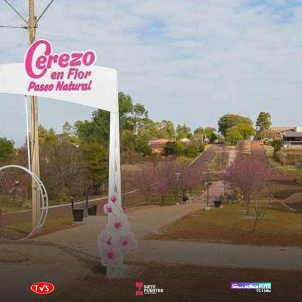 La Paz, Itapúa, declarada "Capital Nacional del Cerezo en Flor - Sakura" - «TVS DIGITAL»