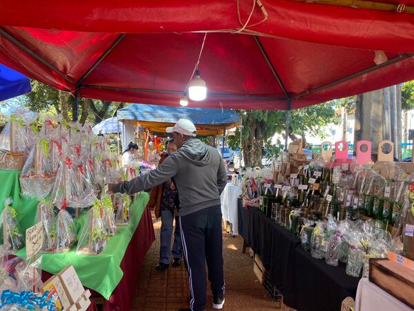 Amistad y talento en la Plaza de Armas: Artesanos celebran este 30 de julio con creatividad
