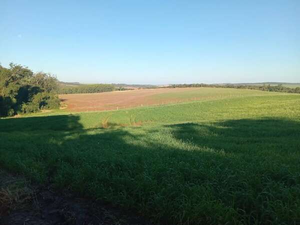 Empresario reclama inacción de la justicia en caso de supuesta invasión de tierras - Policiales - ABC Color
