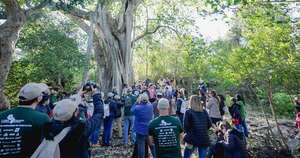 Diario HOY | “Colosos de la Tierra”: los árboles de áreas protegidas se hacen protagonistas