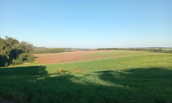 Empresario denunció impunidad en caso de presunta invasión de tierras - OviedoPress