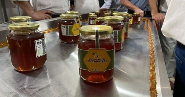 Diario HOY | La miel de los humedales de Ñeembucú recibe reconocimiento por su calidad y origen