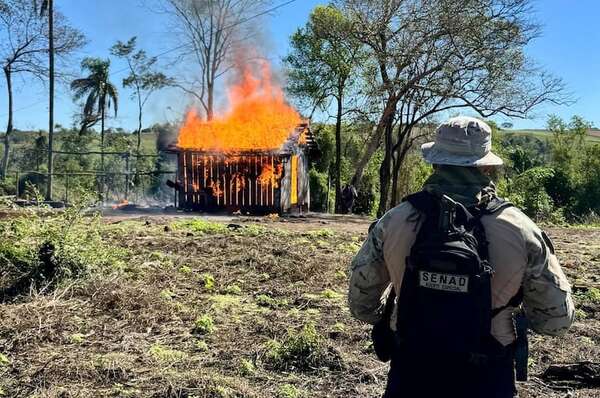 Eliminan campamentos narcos en el Parque Nacional Caazapá - Policiales - ABC Color