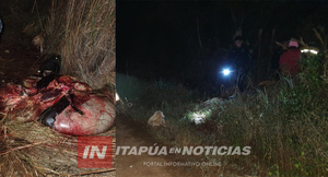 INVESTIGAN ABIGEATO EN LA ZONA DE CAMPICHUELO 