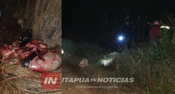 INVESTIGAN ABIGEATO EN LA ZONA DE CAMPICHUELO