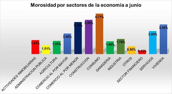 Los créditos de consumo y construcción tienen la mayor morosidad en el primer semestre
