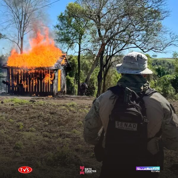 DESMANTELAN CAMPAMENTOS NARCOS EN EL PARQUE NACIONAL CAAZAPÁ - «TVS DIGITAL»