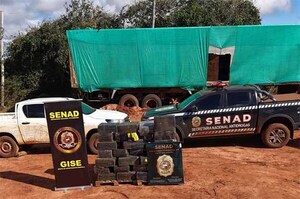 Incautan casi una tonelada de marihuana en zona fronteriza en Canindeyú | DIARIO PRIMERA PLANA