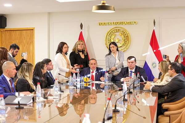 Contraloría detecta irregularidades en ministerios y otras instituciones públicas - Política - ABC Color
