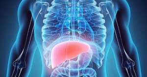 Diario HOY | Más de 860 personas fueron diagnosticadas con hepatitis