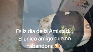 Chofer felicitó a su fiel amigo por el Día de la Amistad