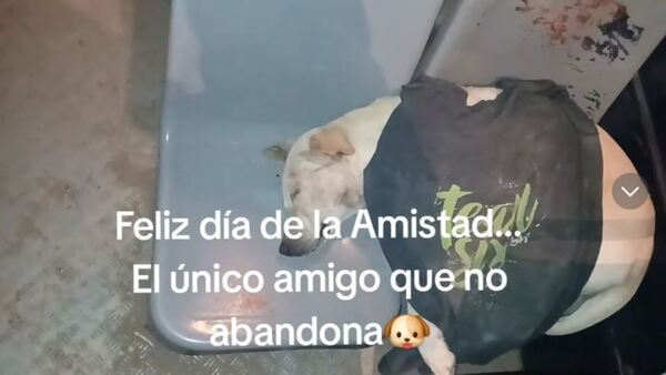Chofer felicitó a su fiel amigo por el Día de la Amistad