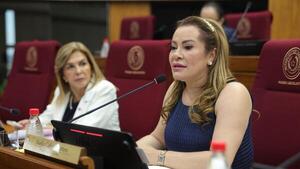 Neposobrinos de Noelia Cabrera renuncian al Senado tras descubrirse presunto planillerismo