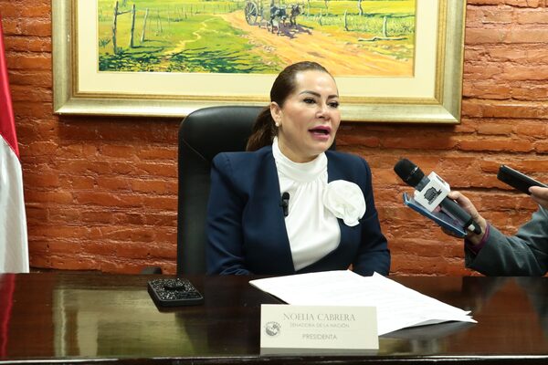 Renuncian los sobrinos de Noelia Cabrera tras denuncia de planillerismo en el Senado - El Trueno