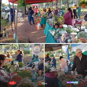 Productores brillan en nueva edición de la feria “Consuma lo que Itapúa Produce” - «TVS DIGITAL»