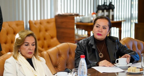 Los sobrinos de Cabrera renunciaron al Senado para salvarla de la pérdida de investidura