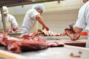 Proyecto que busca controlar precios de carne pasa a comisiones para su estudio - Economía - ABC Color