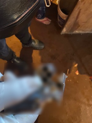 Popular / Allanan una vivienda tras un jejuka y hallan un arma de fuego