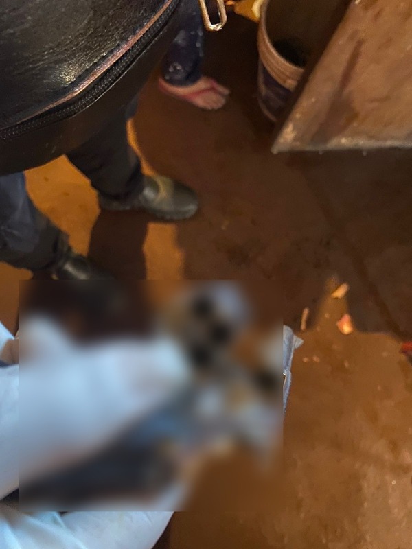 Popular / Allanan una vivienda tras un jejuka y hallan un arma de fuego