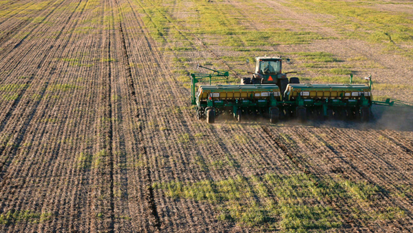 El Chaco podría destinar entre 150.000 y 180.000 hectáreas a la soja en la próxima campaña