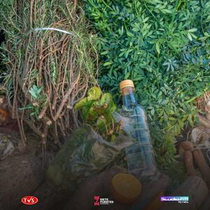 “CARRULIM”: UNA TRADICIÓN VIGENTE PARA ENFRENTAR LA MALA ONDA DE AGOSTO - «TVS DIGITAL»