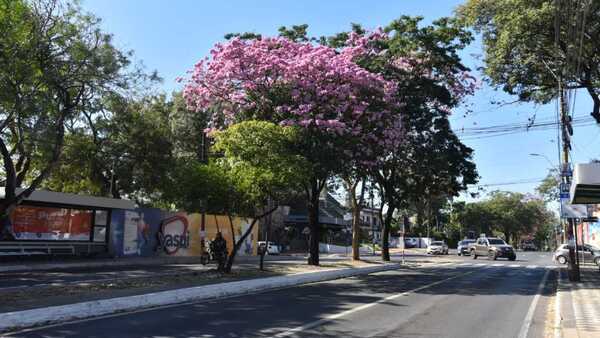 Inicio de agosto con clima cálido y vientos moderados del noreste