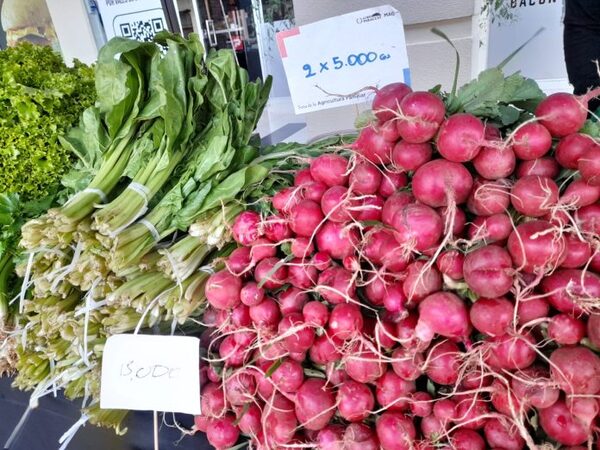 Ferias de Agricultura Familiar en San Lorenzo y Lambaré