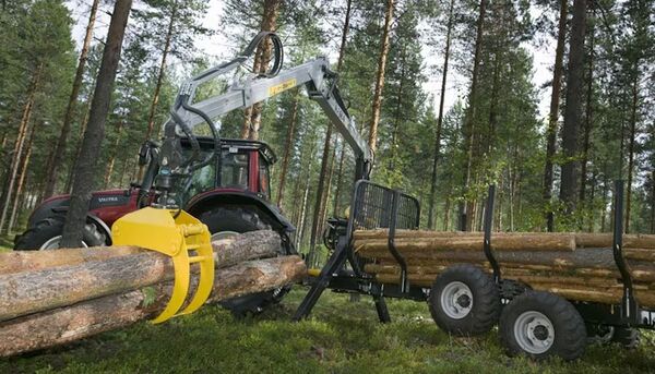 Paraguayos se formarán como operadores de maquinaria forestal en Finlandia