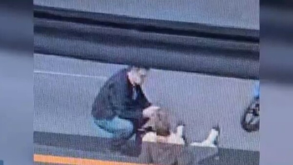 Buscan identificar a conductor que huyó tras atropellar a una abuelita