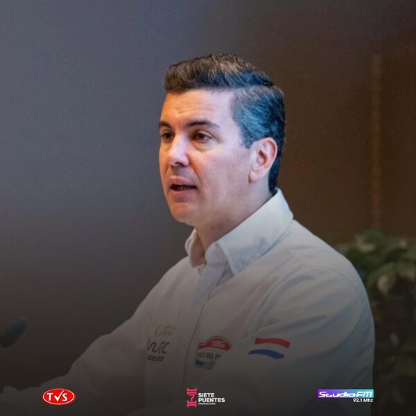 PEÑA DESTACA EN FINLANDIA EL POTENCIAL DE PARAGUAY COMO LÍDER MUNDIAL EN LA INDUSTRIA FORESTAL - «TVS DIGITAL»