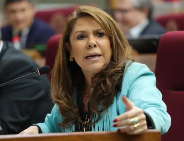 Celeste Amarilla pedirá pérdida de investidura de Noelia Cabrera por caso de planillerismo