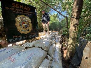 Senad desmantela centro de marihuana mecanizada en Maracaná - Policiales - ABC Color