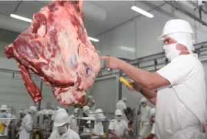 Exportaciones del complejo cárnico aumentaron 14 % en ingresos al cierre de julio