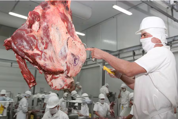 Exportaciones del complejo cárnico aumentaron 14 % en ingresos al cierre de julio